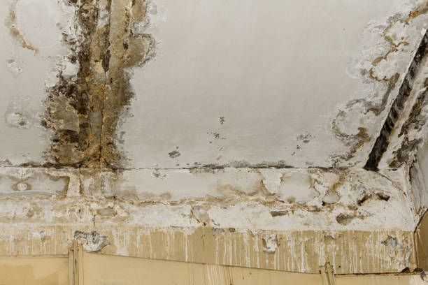 Best Emergency water damage restoration  in Mount Sterling, OH